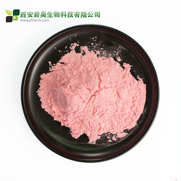 Acerola Fruit Powder